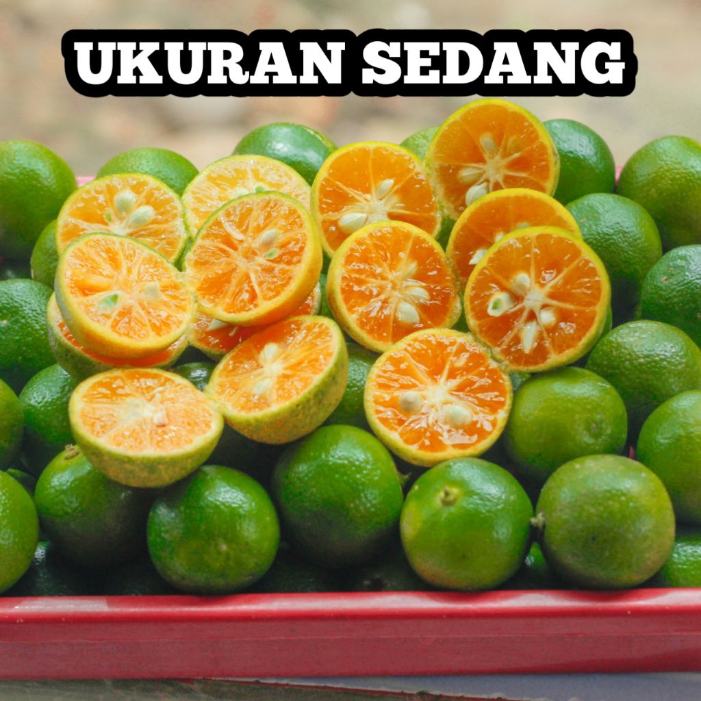 

1KG JERUK SONKIT KASTURI KUNCI