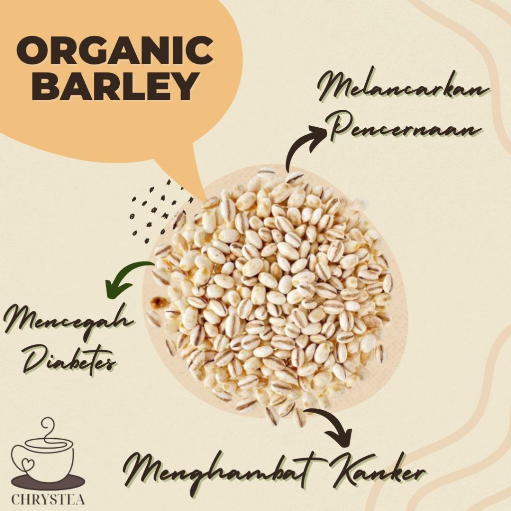 

CHRYSTEA || Organic Barley (Kiloan)