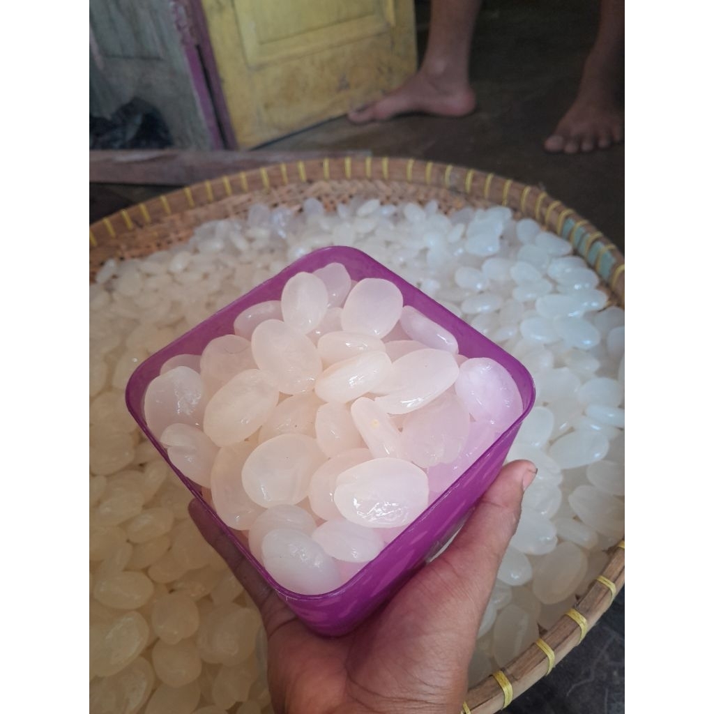 

kolang kaling super kenyal dan gemoy cocok buat manisan