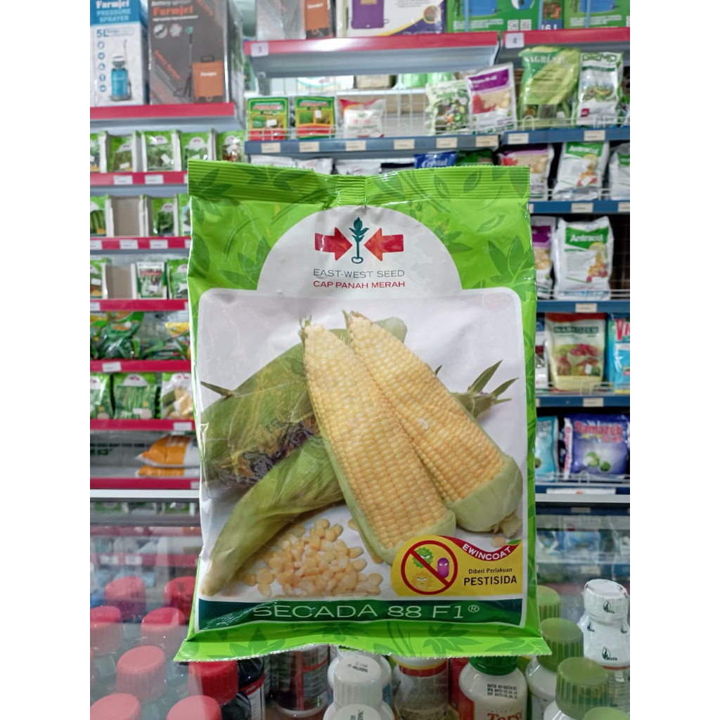 BIBIT JAGUNG MANIS SECADA F1 1750 BUTIR