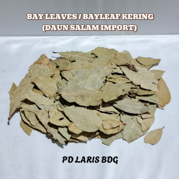 

500gr Bayleaf Kering / Bay Leaves / Daun Salam Kering Import QUALITY PREMIUM