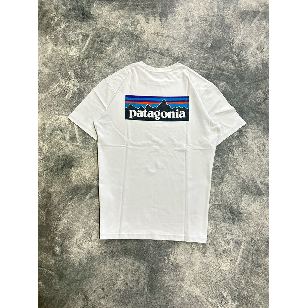 Patagonia T-shirt