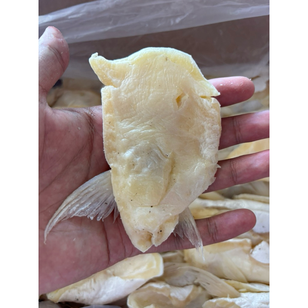 

Ikan Asin Perut Patin Kualitas Premium