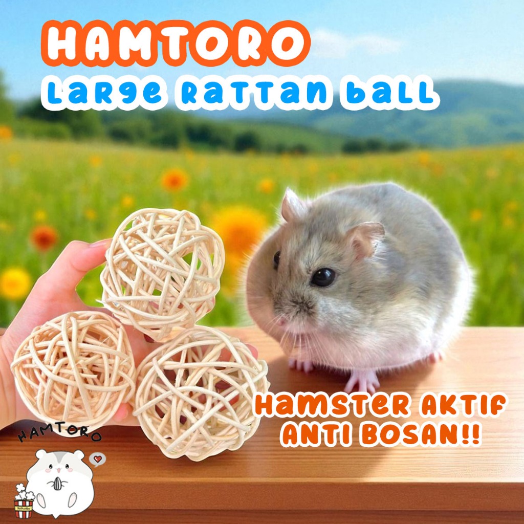 Large Rattan Ball 8cm Mainan Bola Rotan Kelinci/Marmut Besar