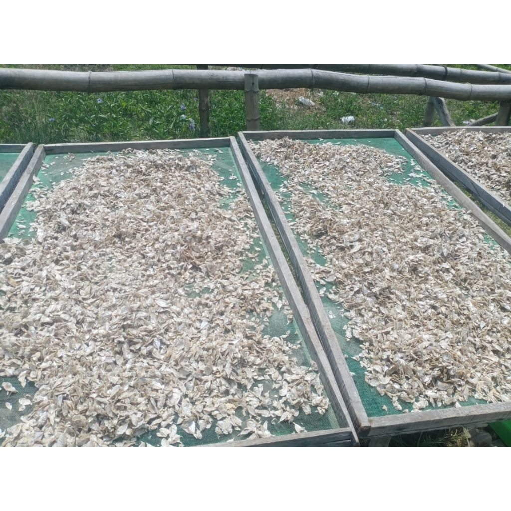 

Ikan Petek Kecil Asin