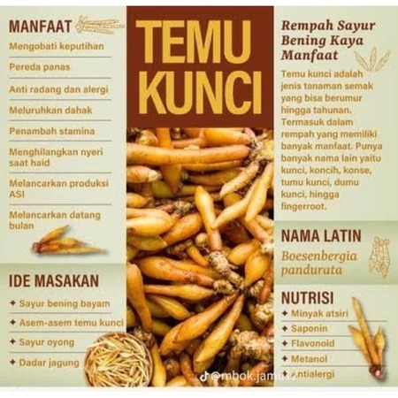 

temu kunci kering original