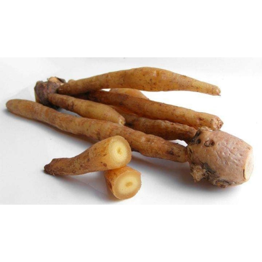 

Temu Kunci Fresh Asli