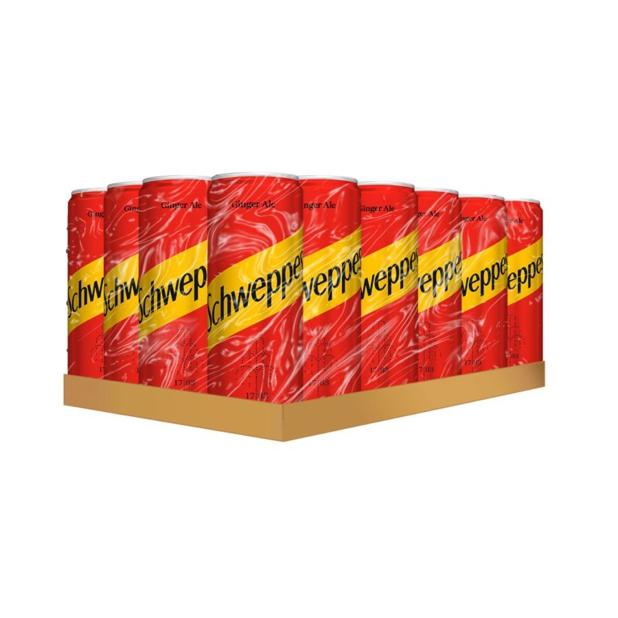 

1 DUS Schweppes Ginger Ale Can Dus 250 ml 24pcs