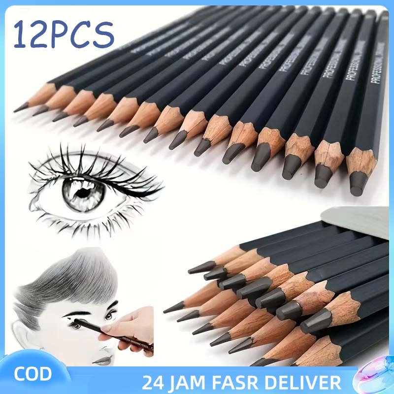 

12 pcs Pensil Gambar Sketsa Charcoal Drawing Pencil 2H H F HB B 2B 3B 4B 5B 6B 7B 8B Untuk Melukis Dan Mewarnai Seni Sketching Tool Dengan Kualitas Tinggi Dan Tajam Tahan Lama