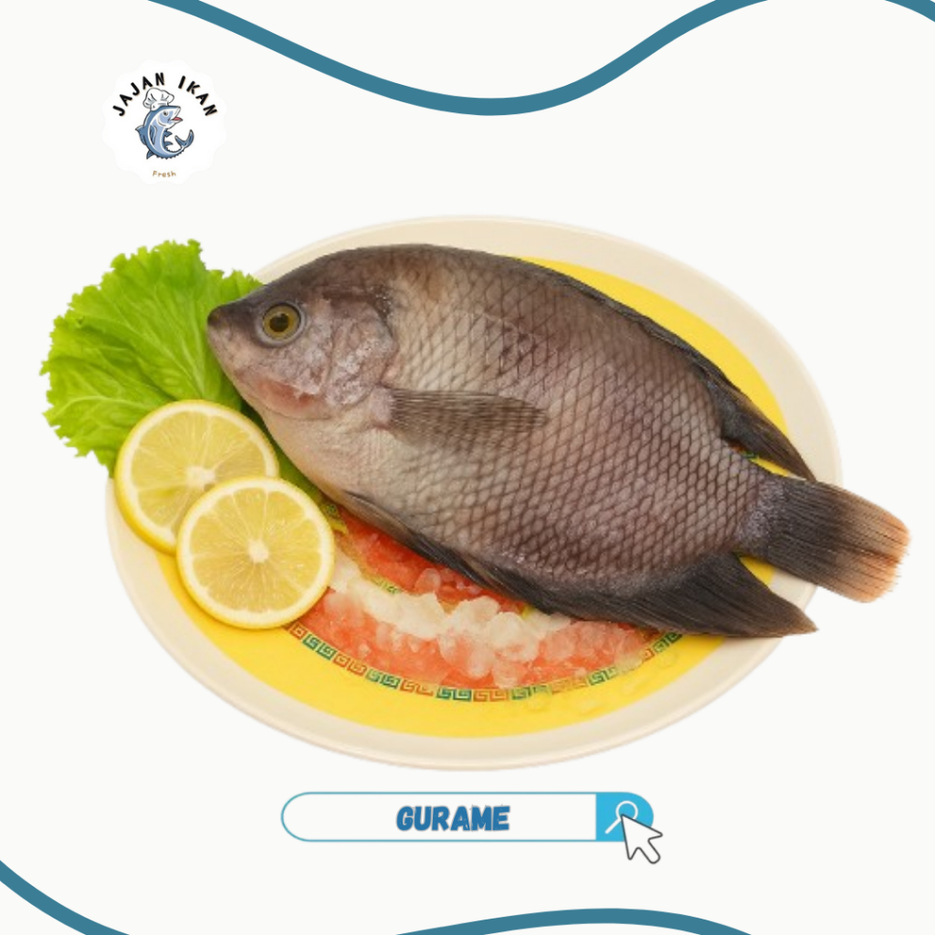 

Ikan Gurame [JAJAN IKAN] Gurame segar 1kg