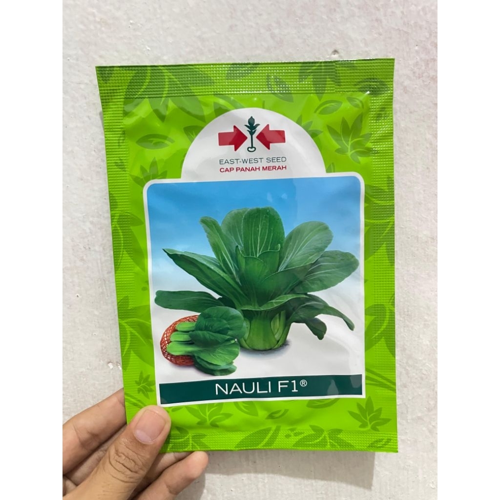 bibit pakcoy nauli F1 panah merah pakcoy unggul