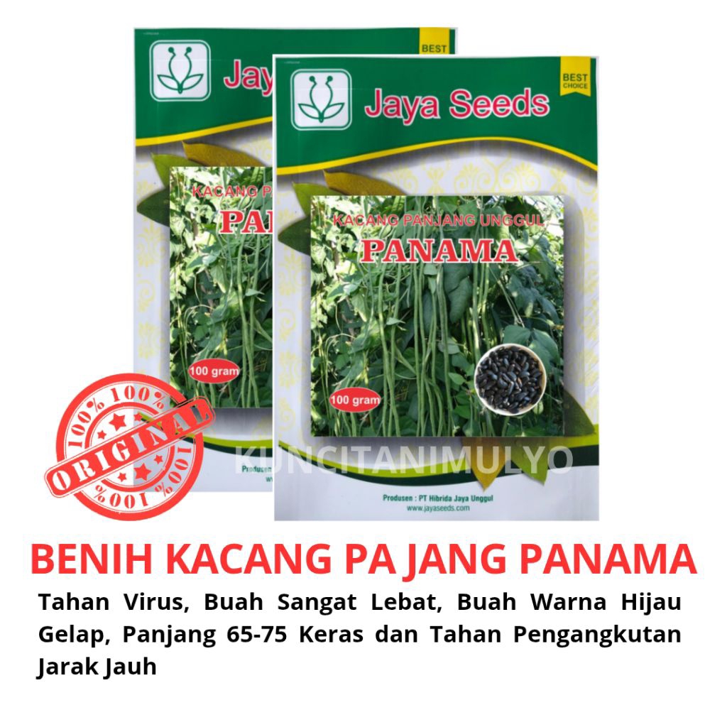 

Benih Kacang Panjang Panama Tahan Virus Benih Biji.Hitam 100 Gram