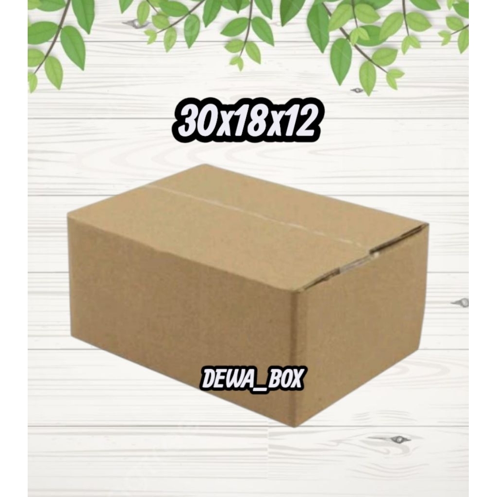 

kardus_box_packing_30x18x12