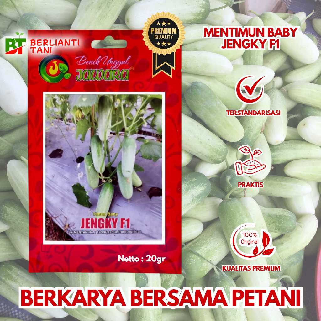 BENIH TIMUN BABY JENGKI F1 PRODUK ASLI UNGGUL JAWARA ISI 20 GRAM