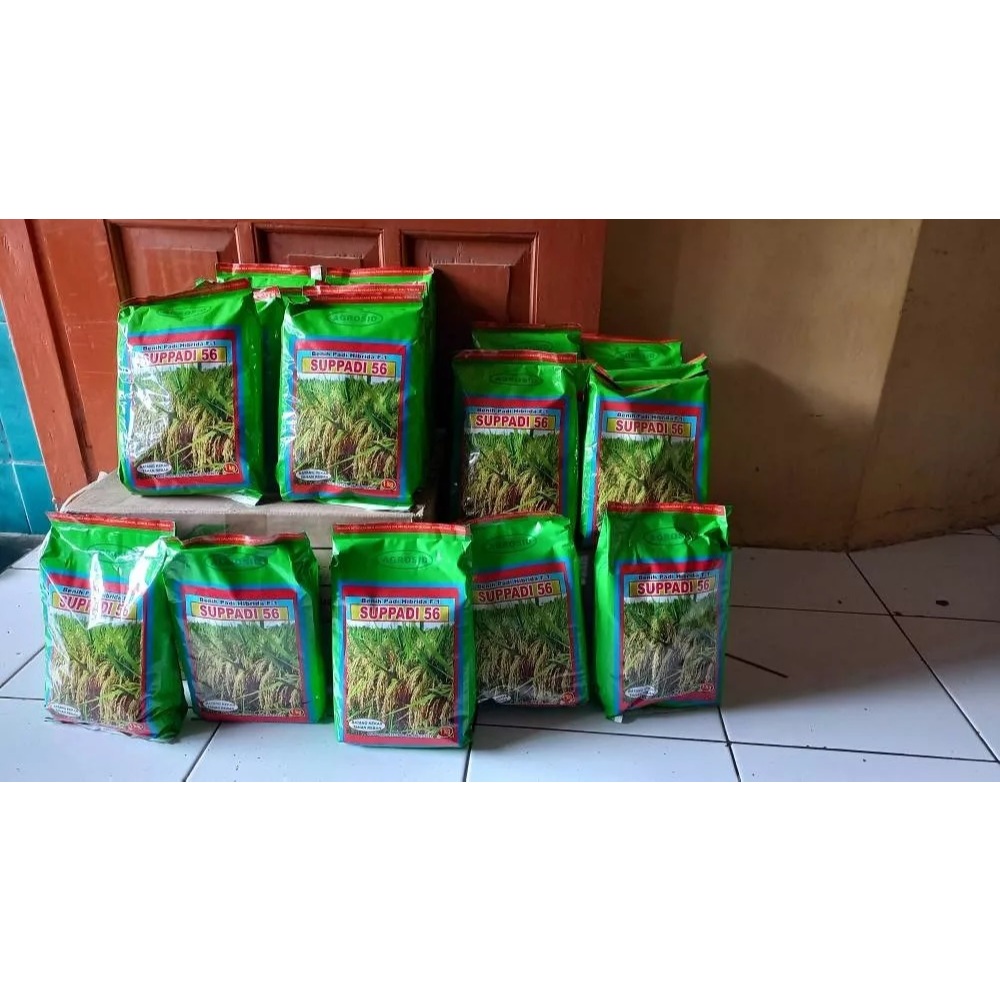 Benih Padi Supadi SUPPADI 56 Hibrida F1 Agrosid / Bibit Padi Supadi 56 Original