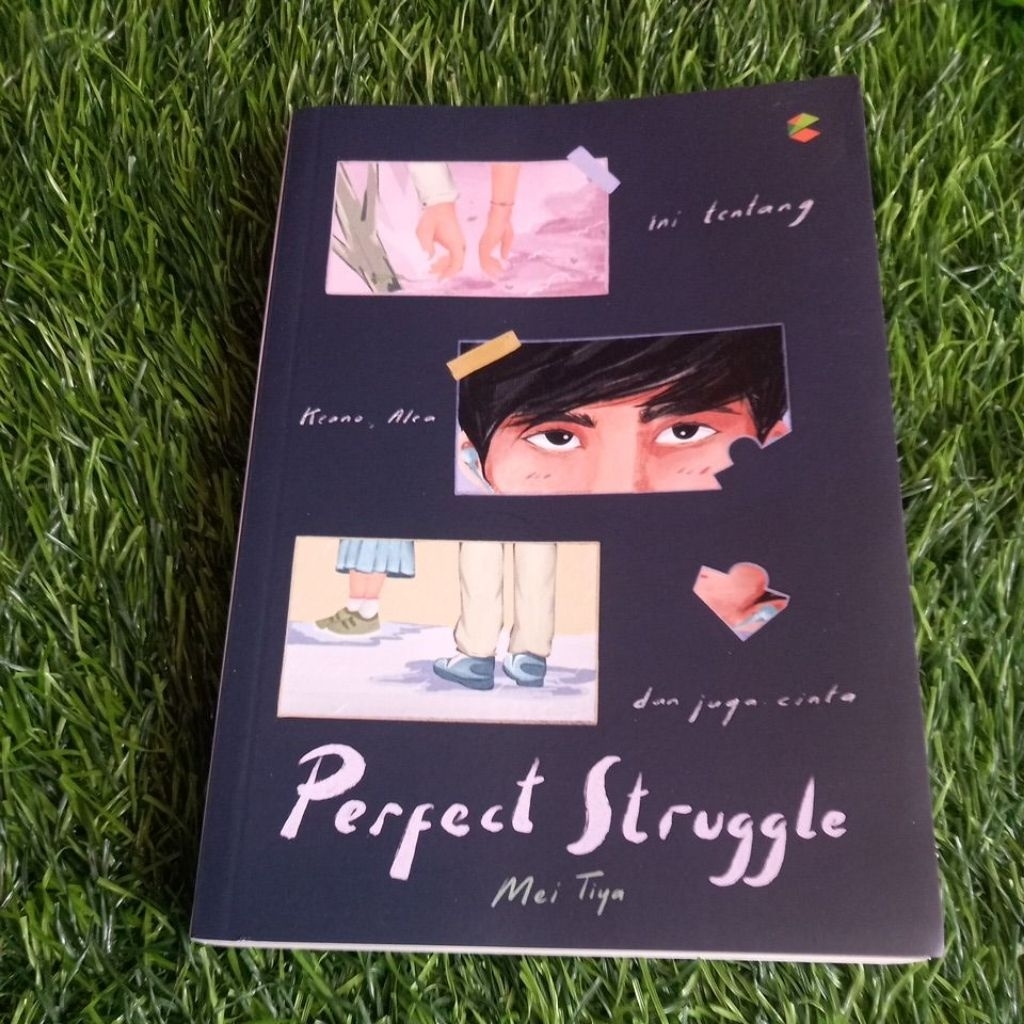 buku perfect struggle
