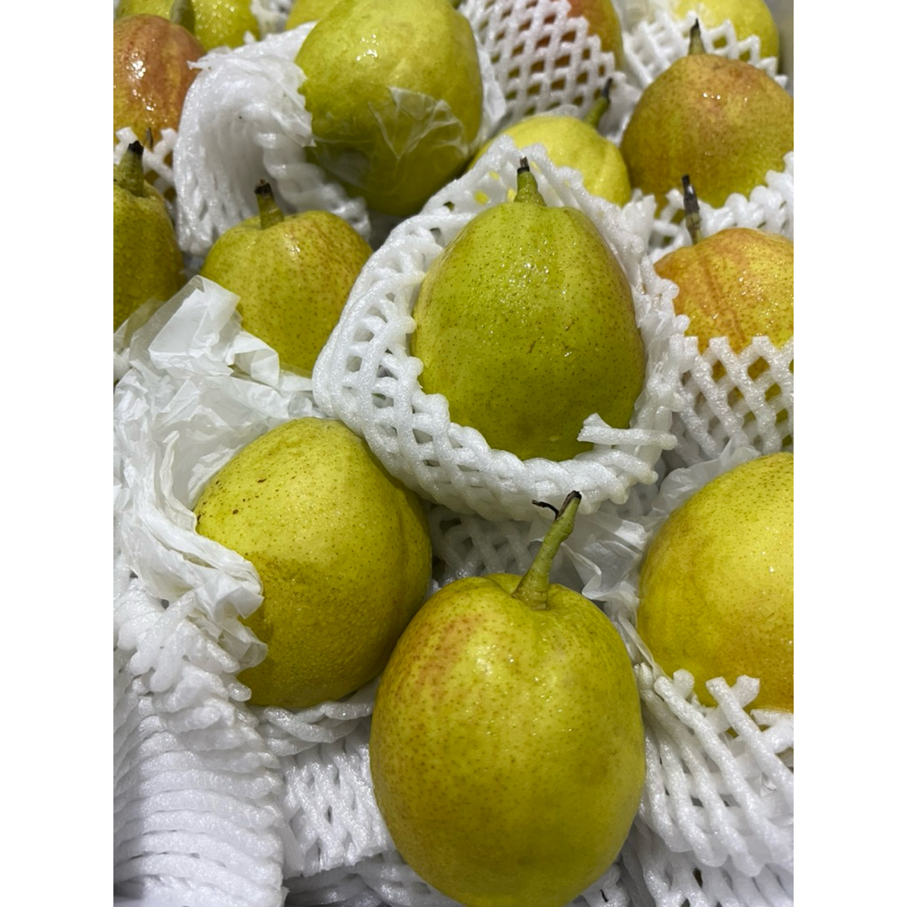 

Pir Xianglie Fresh Segar Harum Juicy 900-1kg – Isi 7–8 Buah