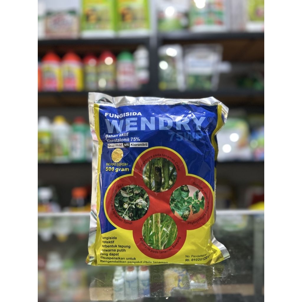 WENDRY 75 WP 500 GR