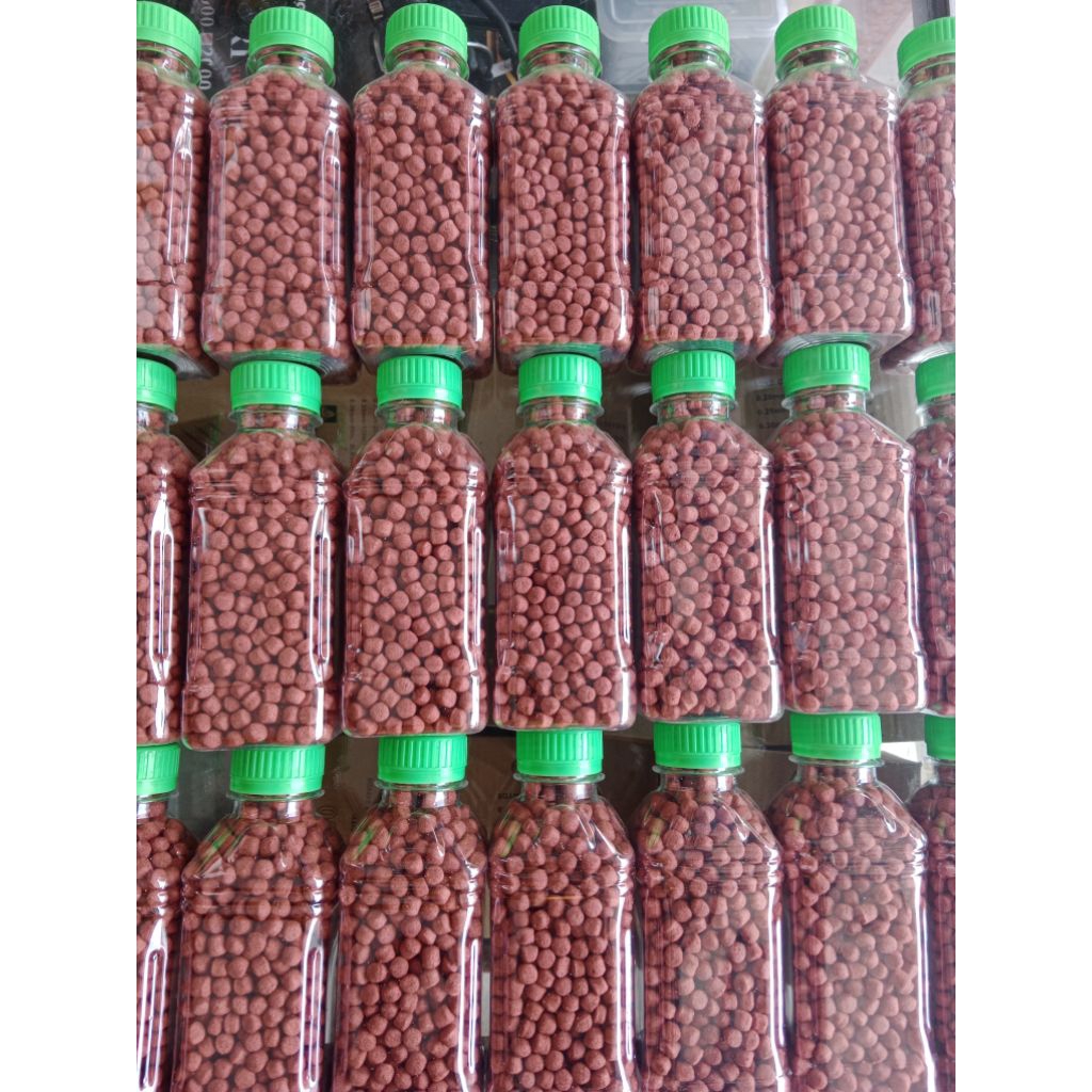 umpan butiran otok2 buat ikan bandeng