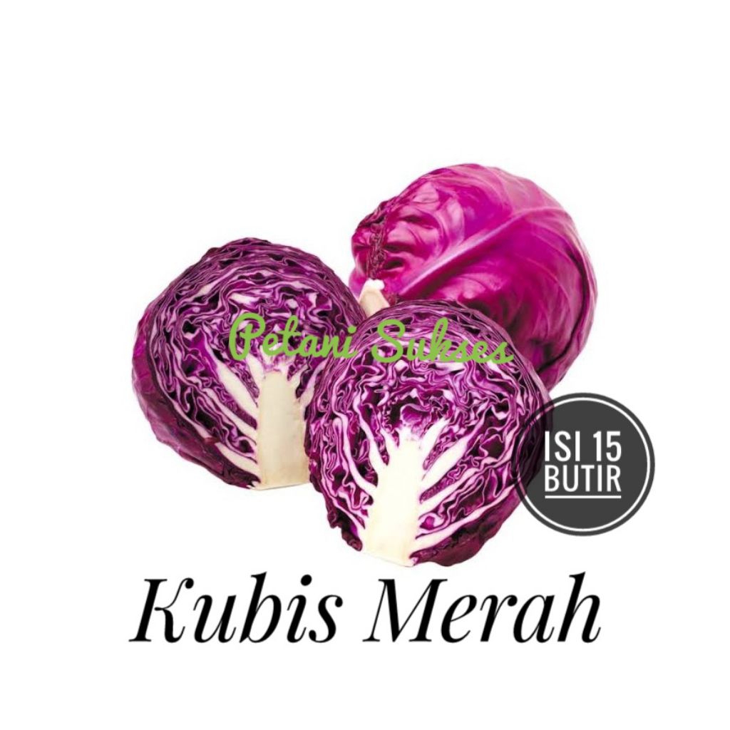 

(REPACK 15 butir) Bibit benih sayuran Kol KUBIS MERAH isi 15 butir
