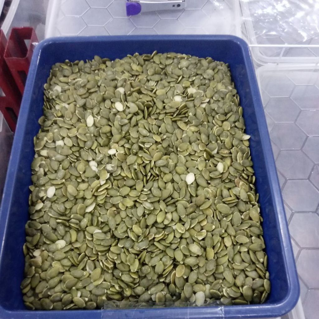 

PUMKIN SEEDS MENTAH 500GR