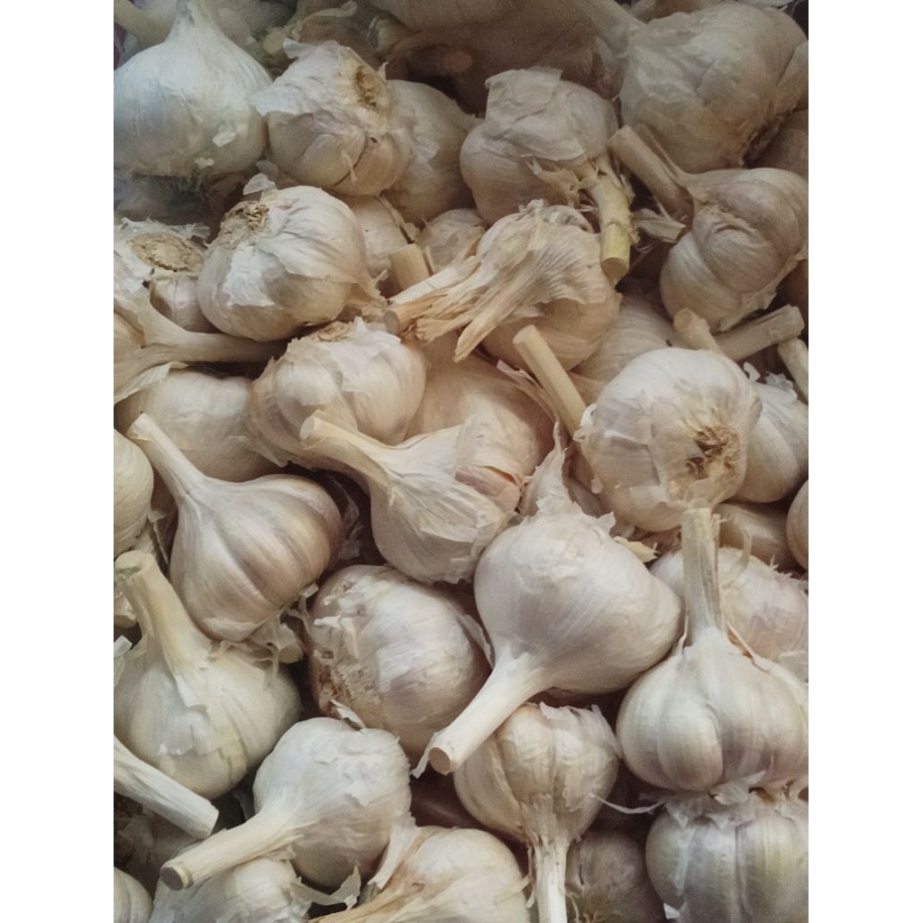 

BAWANGPUTIHKATING1KG&500G