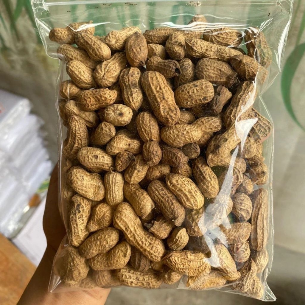 Kacang Sangrai 1 Kg / Kacang Sangrai / Kacang Sangrai Gongso