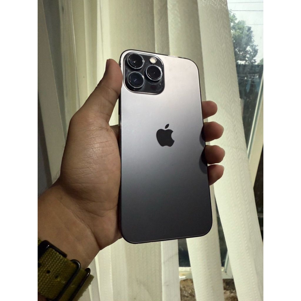 Iphone 13 Pro Max 256gb