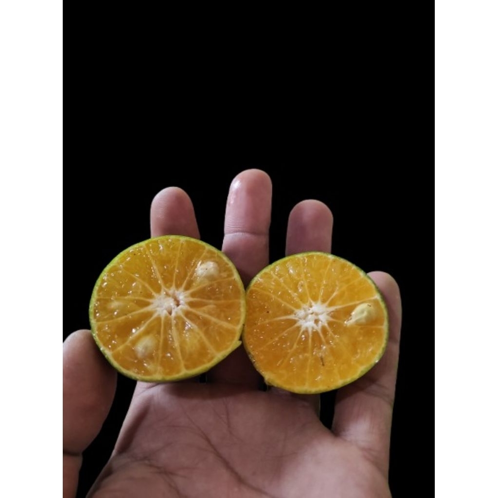 

JERUK PERAS WEDANGAN