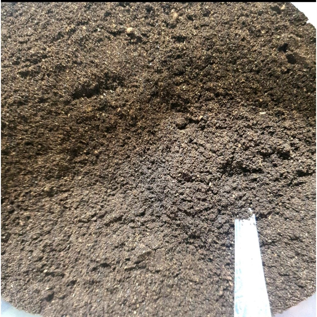 

andaliman kering parsoburan 1 ons