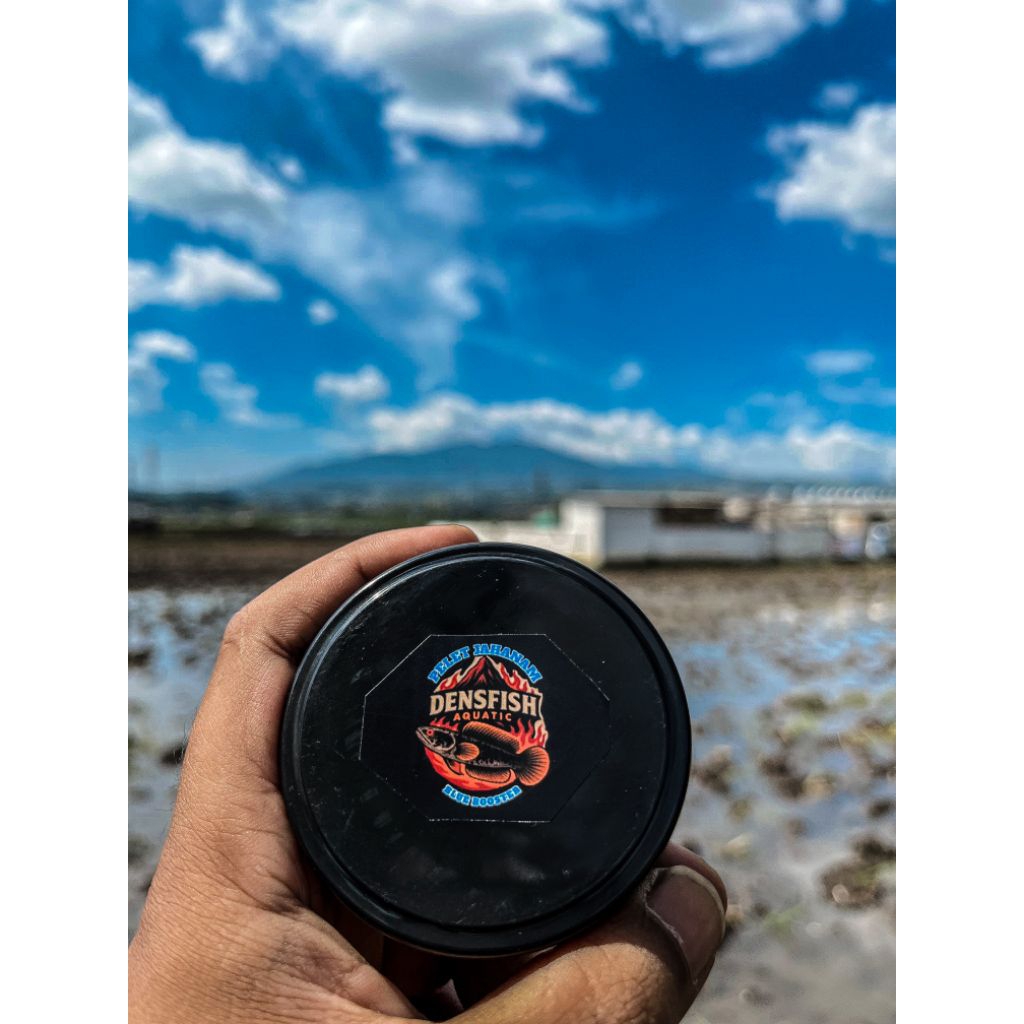PELET JAHANAM BLUE BOOSTER DOSIS TINGGI