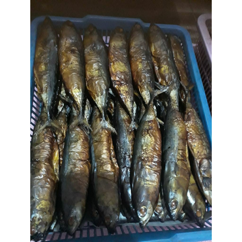 

ikan tongkol /deho isi 10 ekor khaz pemalang