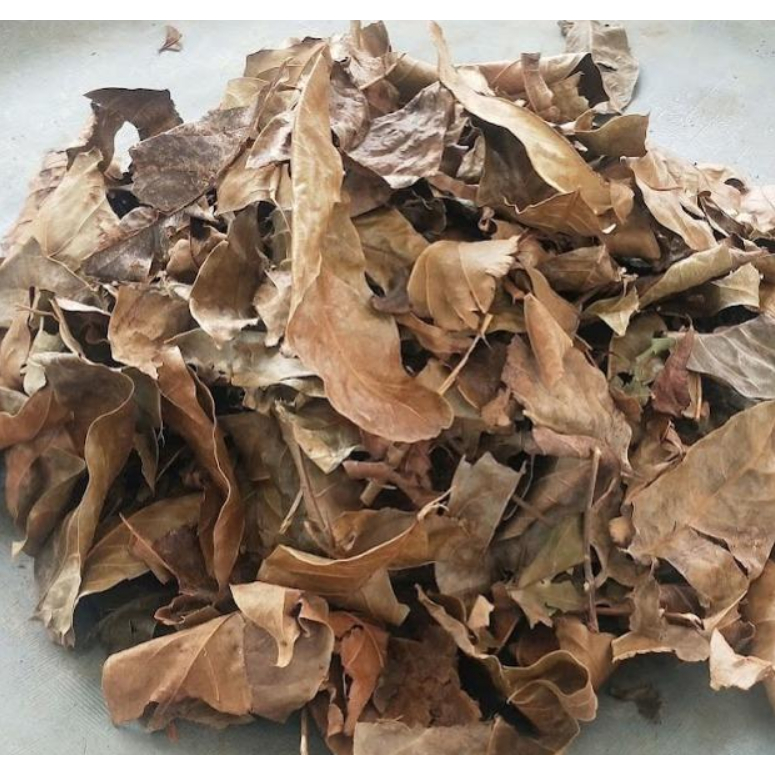 

1 kg Daun Mahoni Kering / 500 gram Daun Mahoni Kering Alami