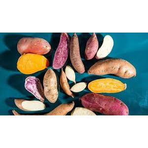 

TERMURAH umbi ubi ketela random 1kg