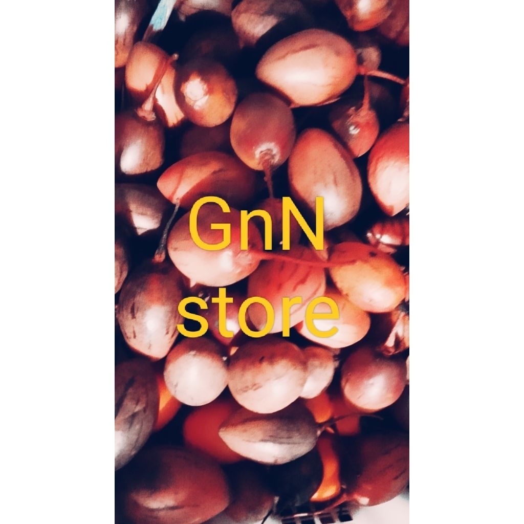 

terong kori/terong belanda bandung segar 250g(readystok)