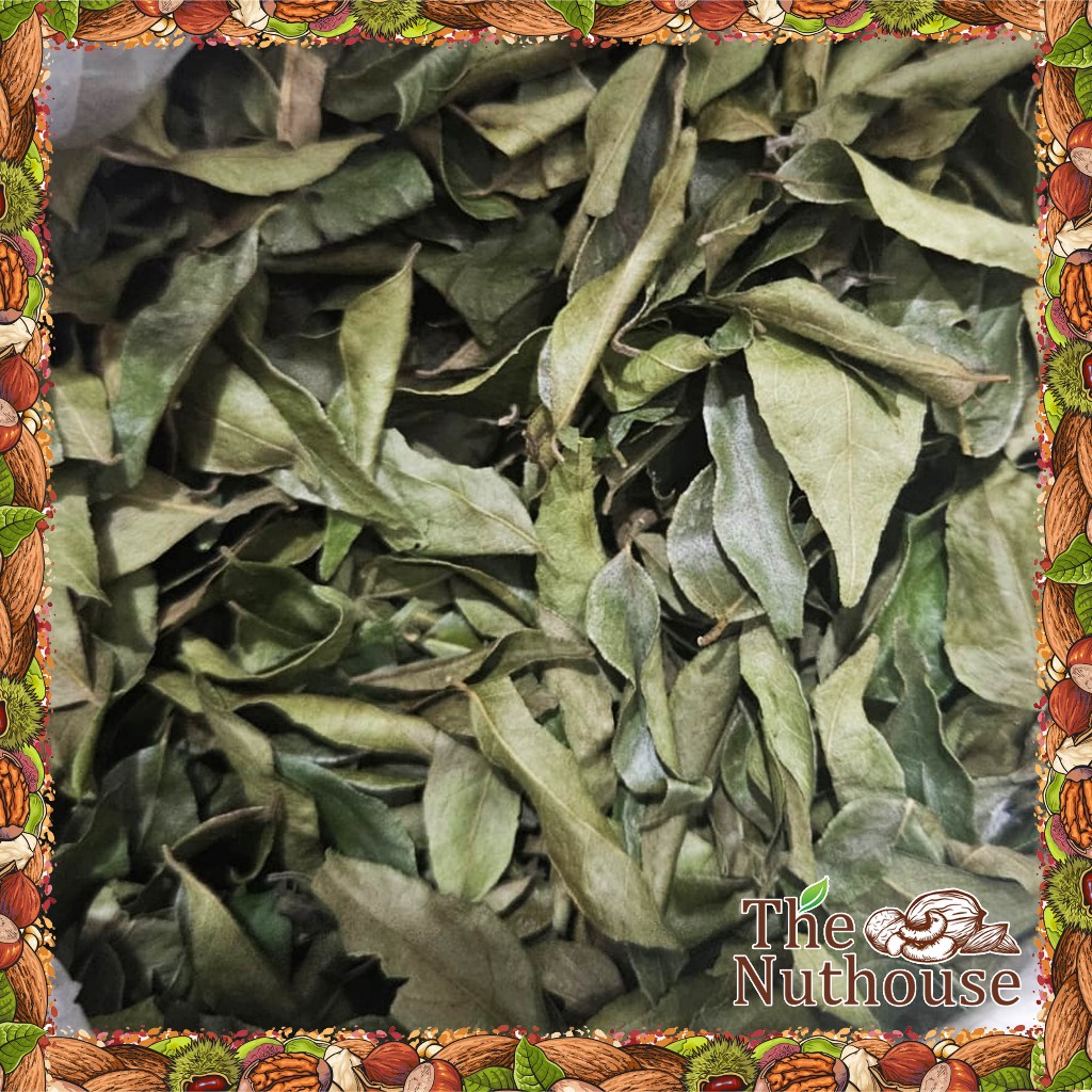 

Daun Kare Kering / Dried Curry Leaf / Salam Koja / Kari Leaves [100gr / 250gr / 500gr / 1kg]