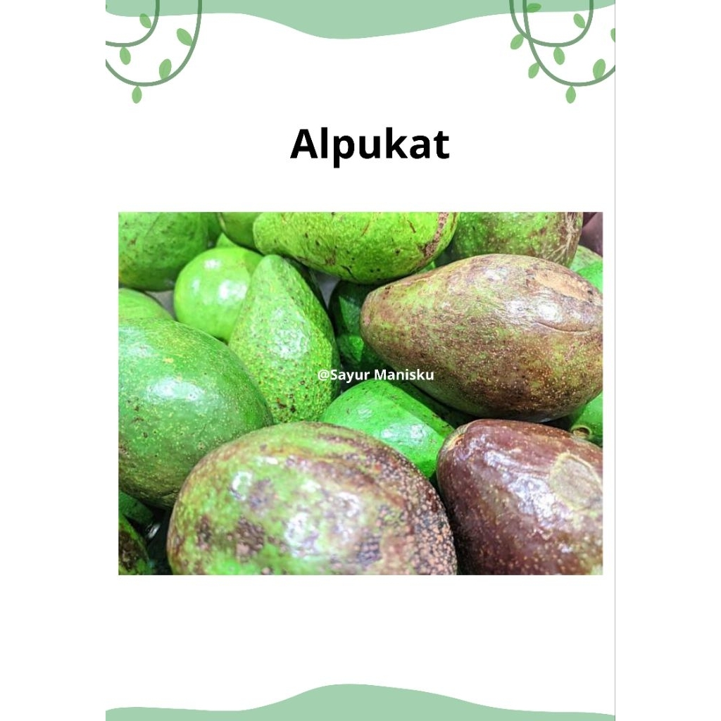 

Alpukat mentega Jumbo