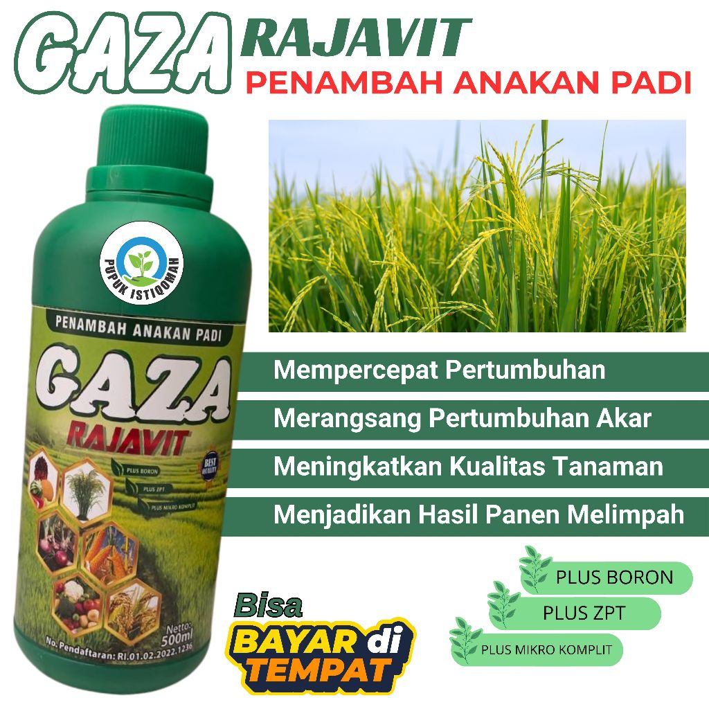 Pupuk Cair Organik Penyubur Padi, Hasil Panen Lebih Banyak & Berkualitas