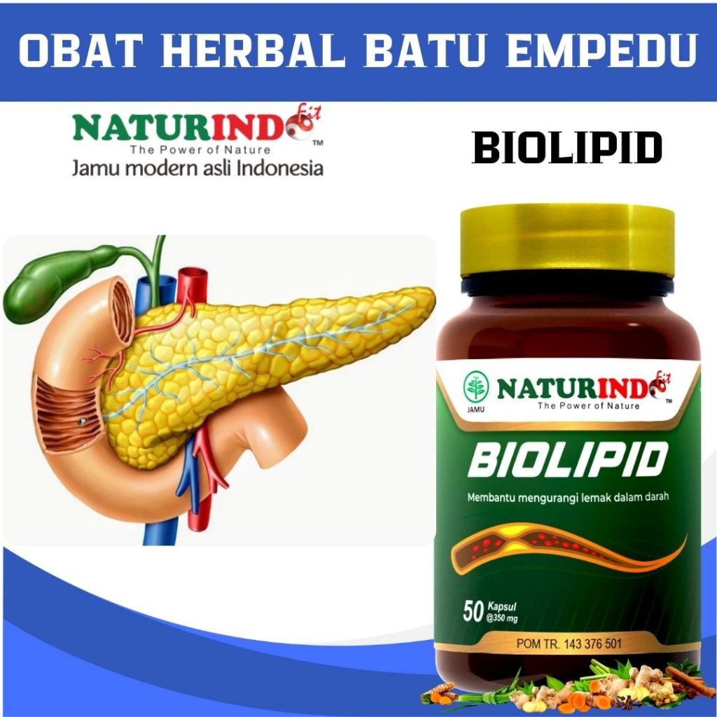 Obat Herbal Penghancur Batu Empedu Peluruh Batu Empedu Tanpa Operasi Naturindo Biolipid