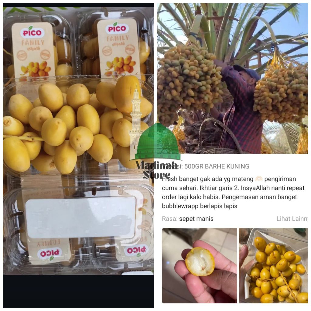 

Kurma Muda Barhie fresh