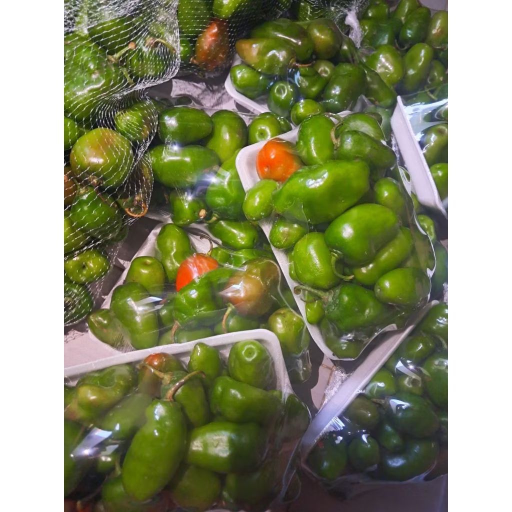 

CABE GENDOT!! MURAH MERIAH! EDISI TERBATAS!!