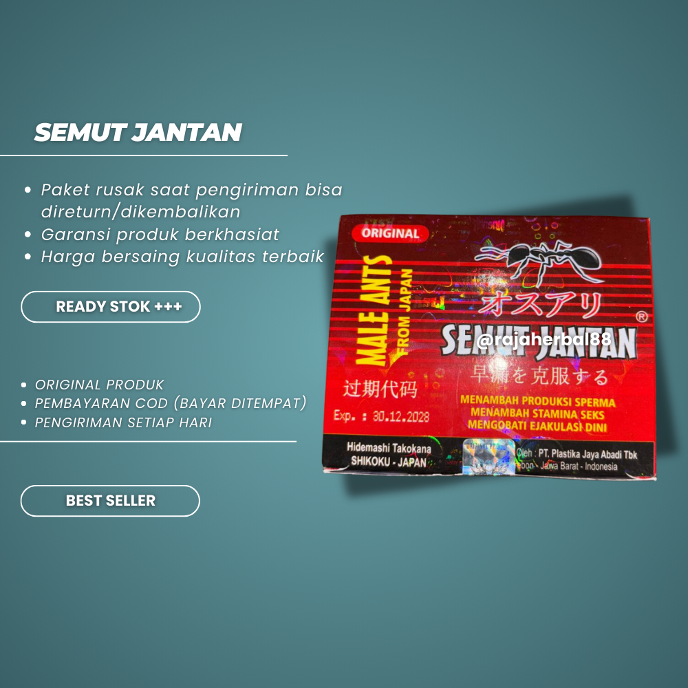 

Semut Jantan Original // Kapsul Stamina Pria Dewasa
