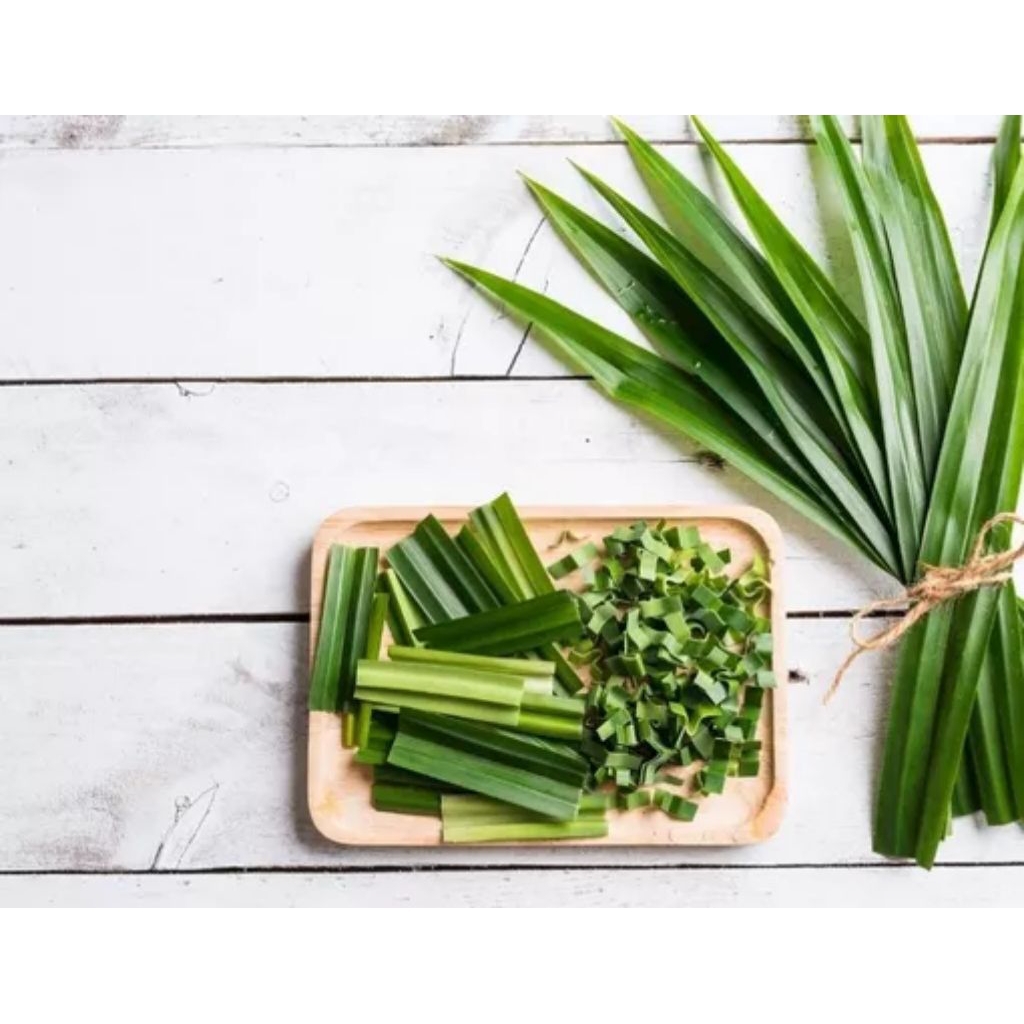 

DAUN PANDAN WANGI ALAMI FRESH DARI PETANI