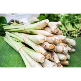 

Serai Sereh Batang | Serai Bumbu Masak | Rempah Masak Sere Serai Sereh