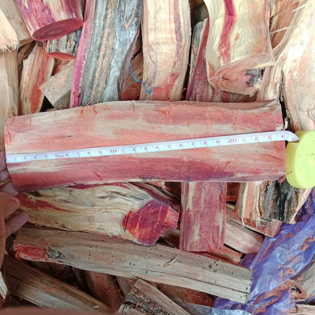 

kayu secang Gelondong kering/secang super merah, panjang ± 24cm