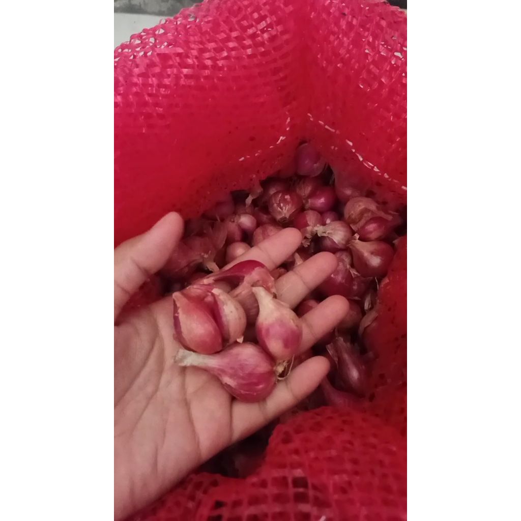 

bawang merah 1 kg