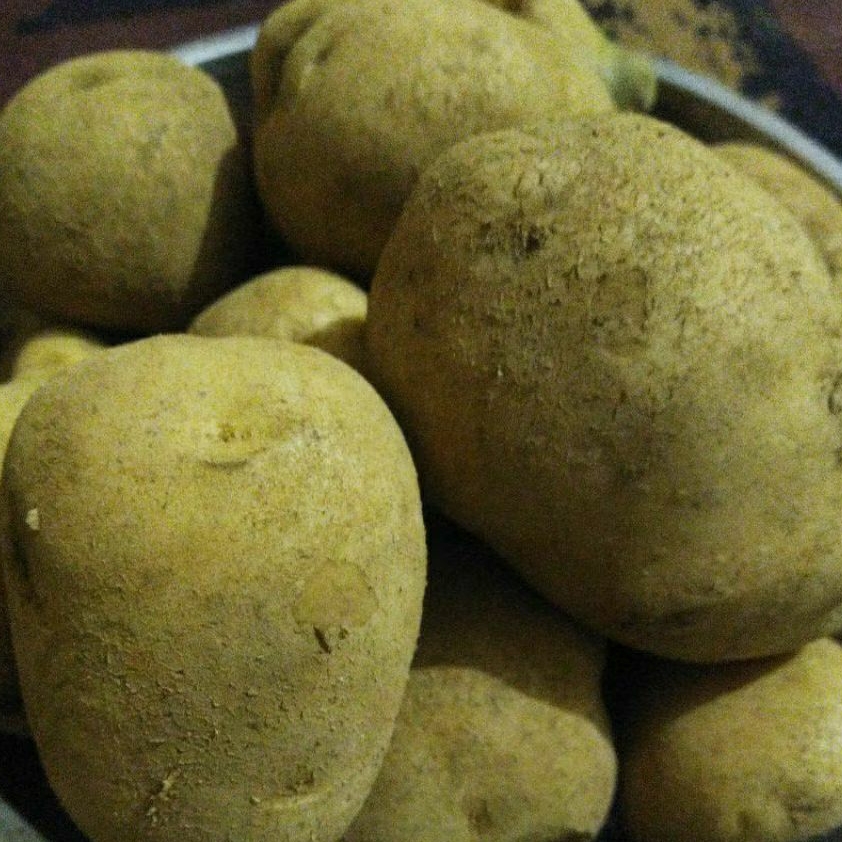 

Kentang premium,,,1kg