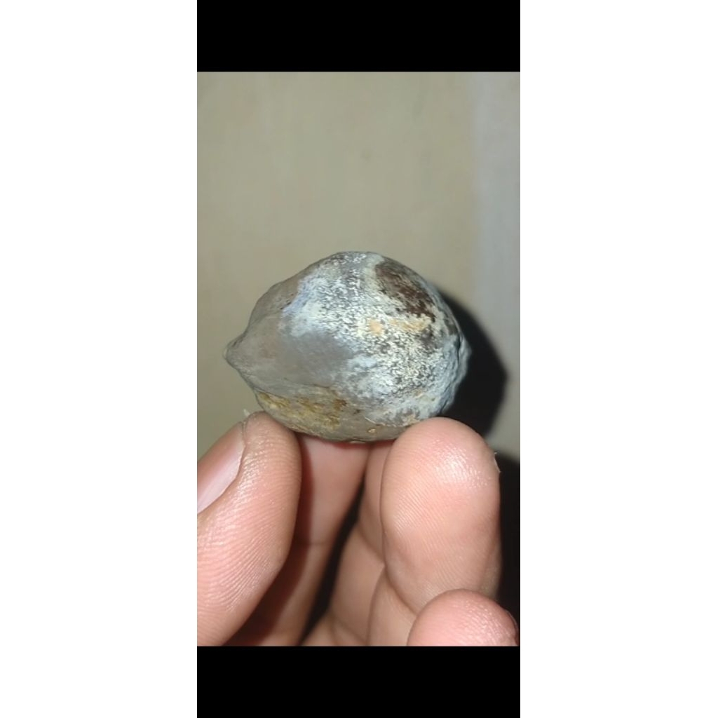 

muncang aduan mayit klaten ukuran xl