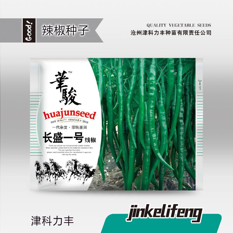 Benih Cabai Hijau Panjang Import 10 Gram Cabe Hijau