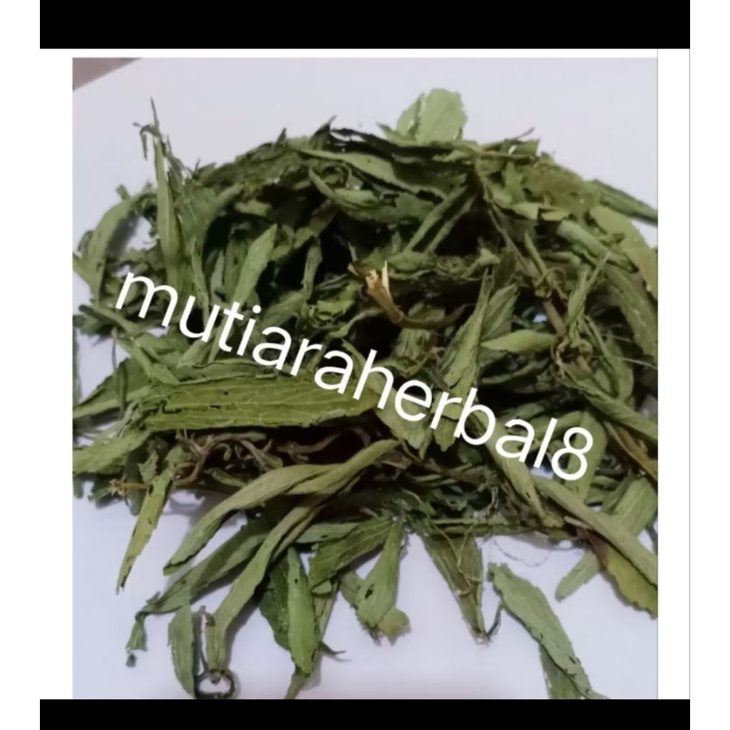 

Daun Stevia kering manis 1kg /alami pengganti gula dried Stevia tea